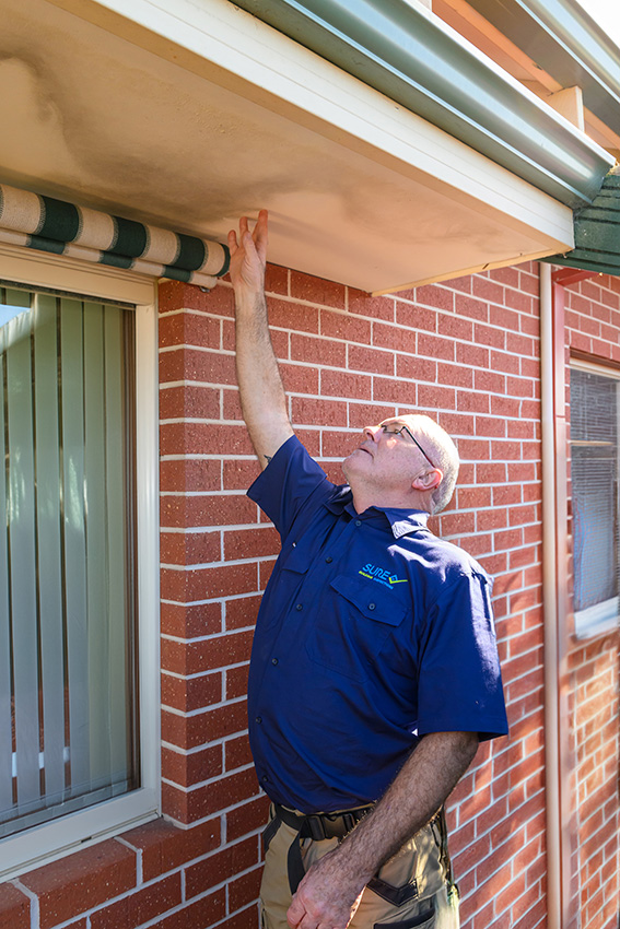 Perth Moisture & Damp Guide