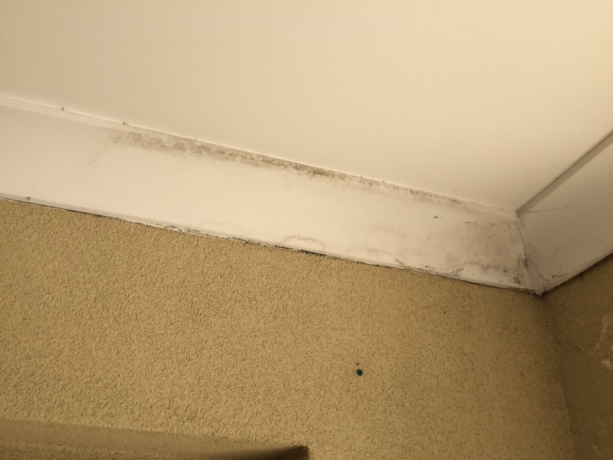 Health & safety defect example