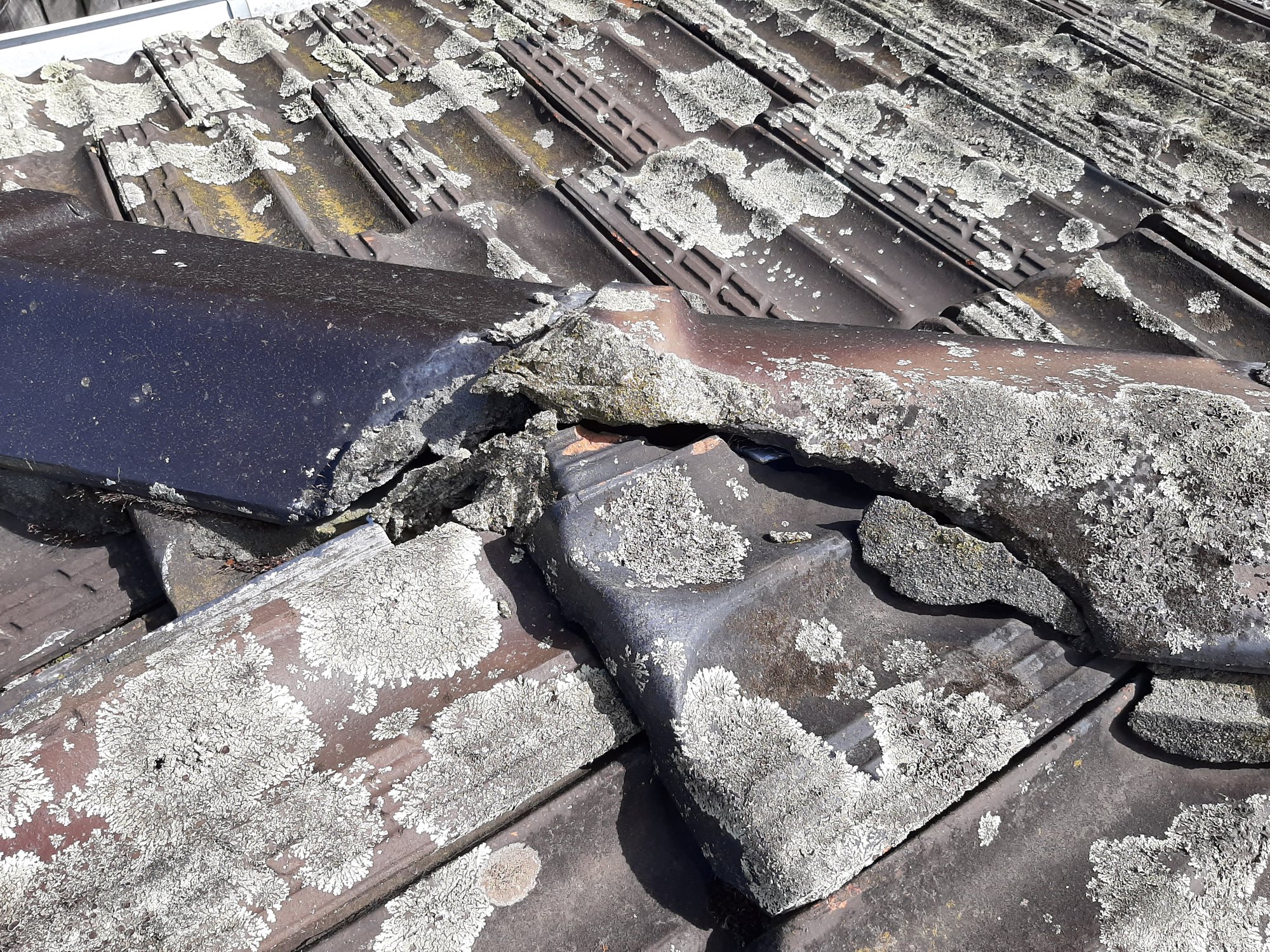 Roof defect example