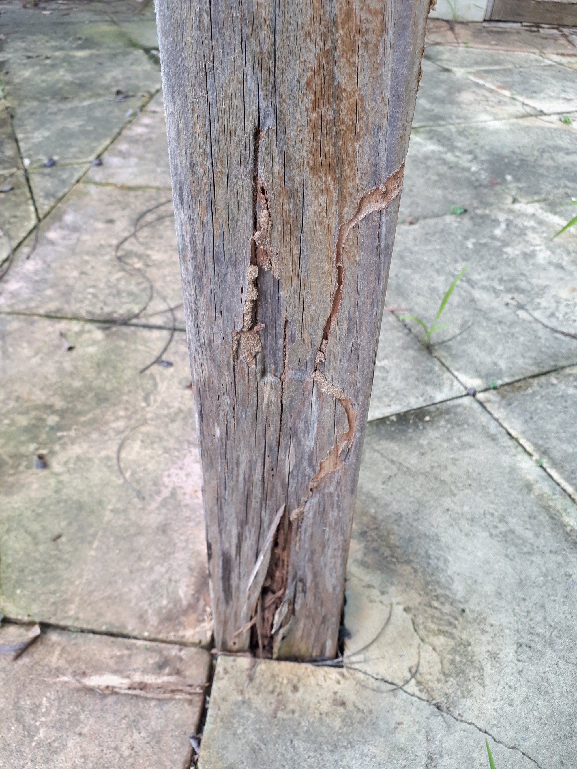 Common defect example from a combined building & pest inspection