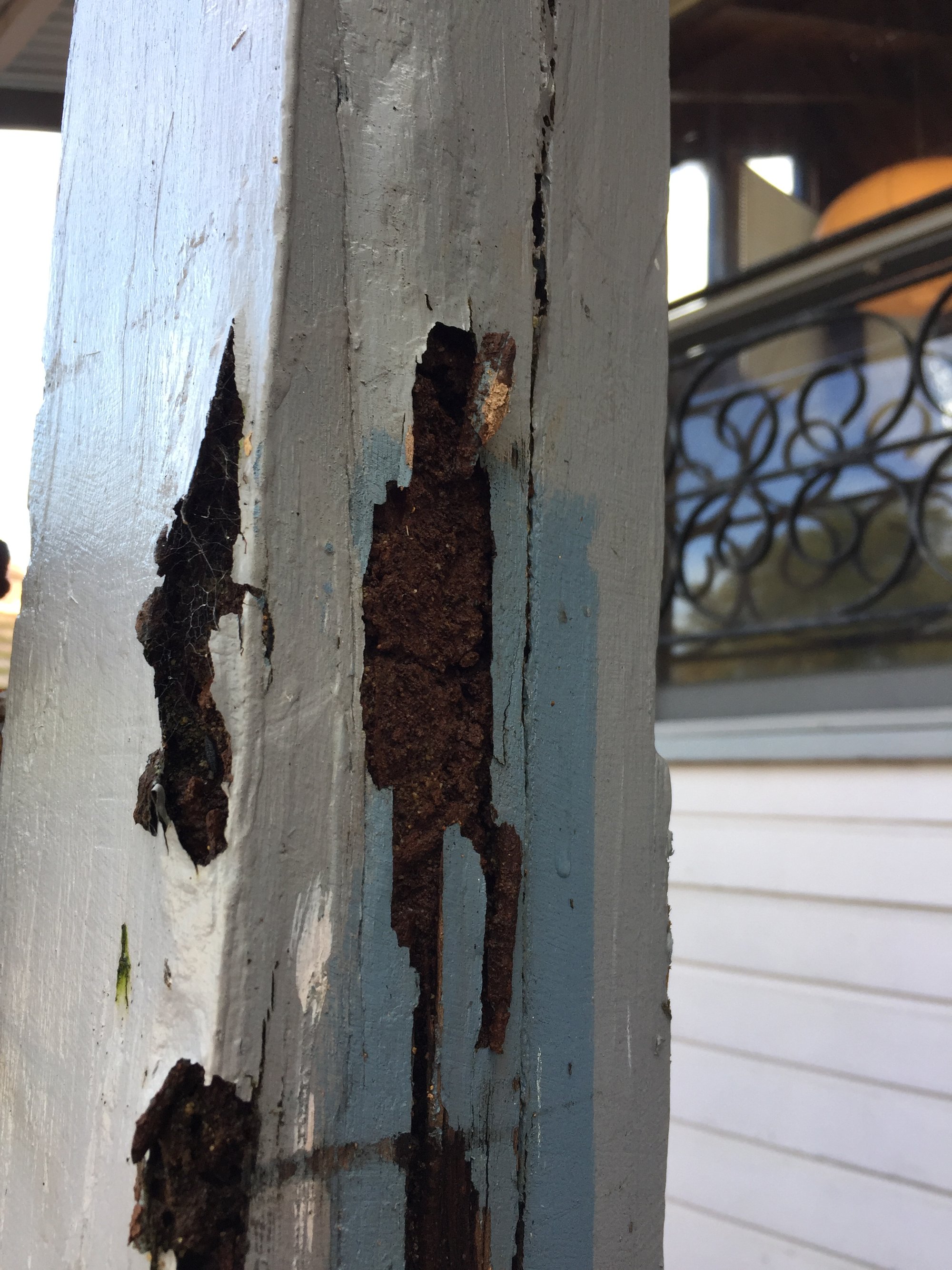 Common defect example from a frame inspection (on stumps)