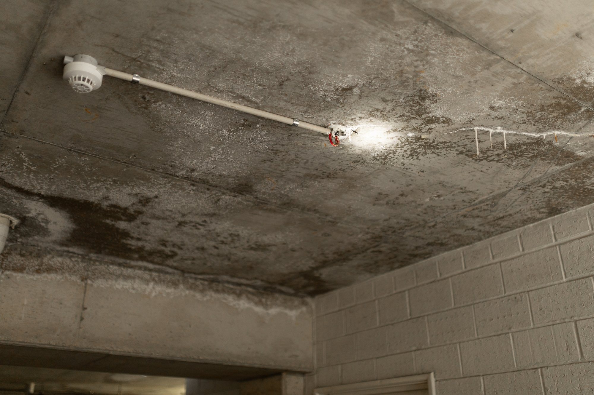 Lock Up Inspection (Brick Veneer / Timber Frame) on site