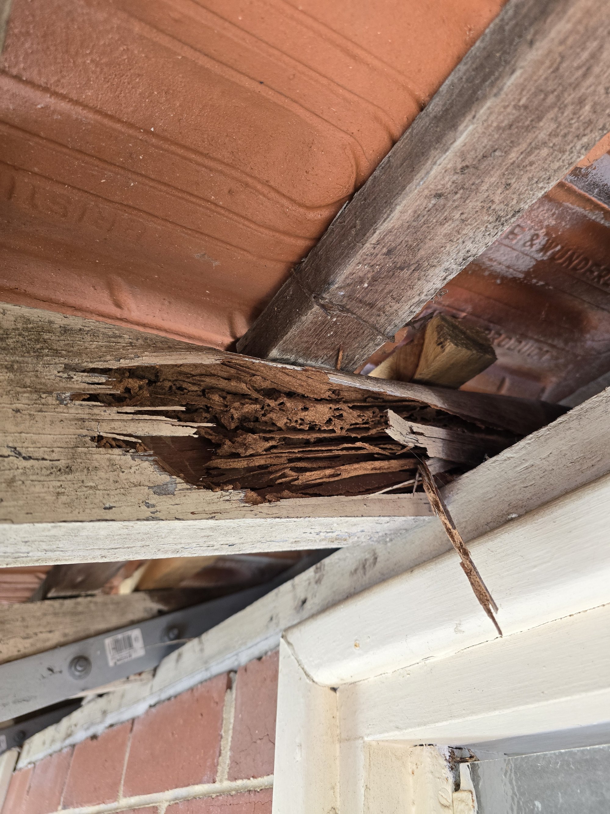 Common defect example from a pre-purchase timber pest inspection