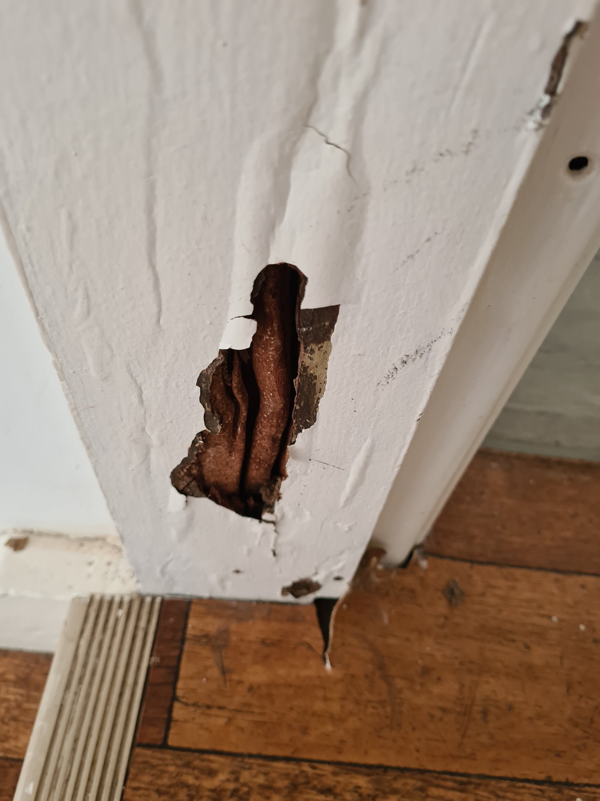 Common defect example from a timber pest inspection