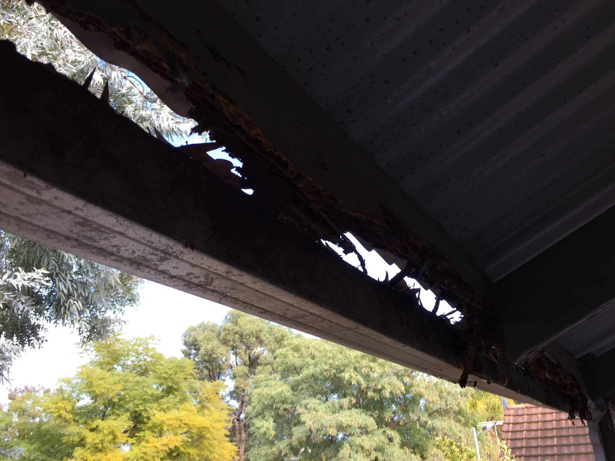 Strata Records Inspection on site