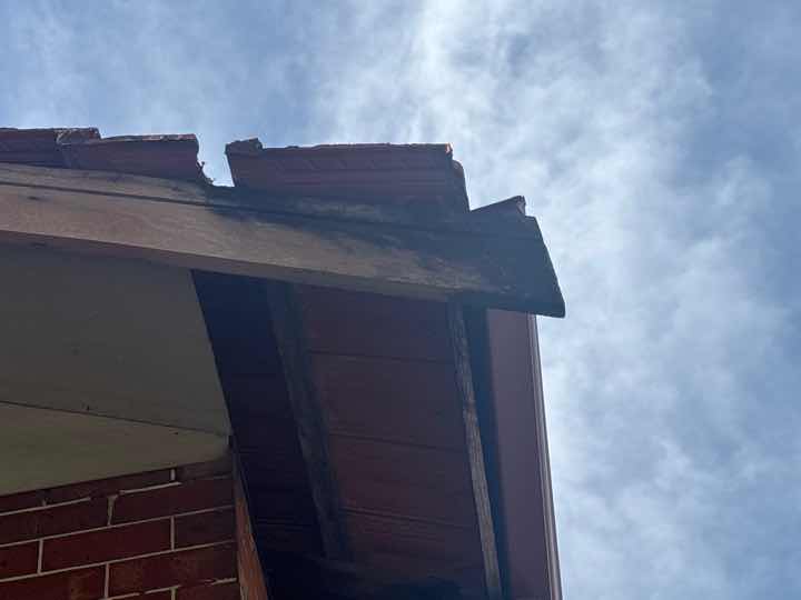 Fungi Decay (Rot) in Timber Sleepers — real termite defect photographed in a SURE Building Inspections report