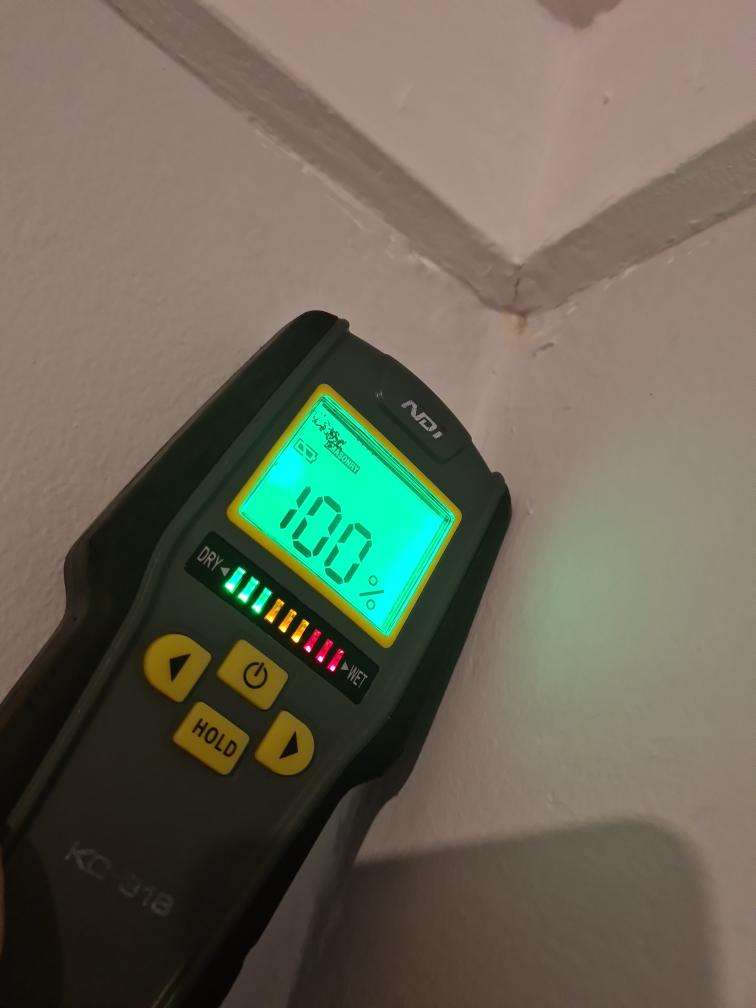Excess Moisture in Walls Adjacent to Wet Areas — real moisture defect photographed in a SURE Building Inspections report