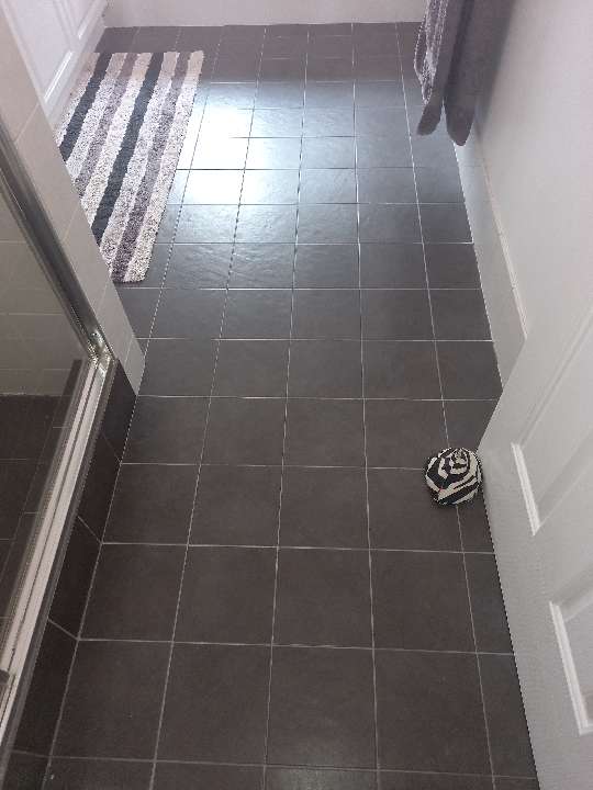 Deteriorated Grout in Shower and Screen Junctions — real moisture defect photographed in a SURE Building Inspections report