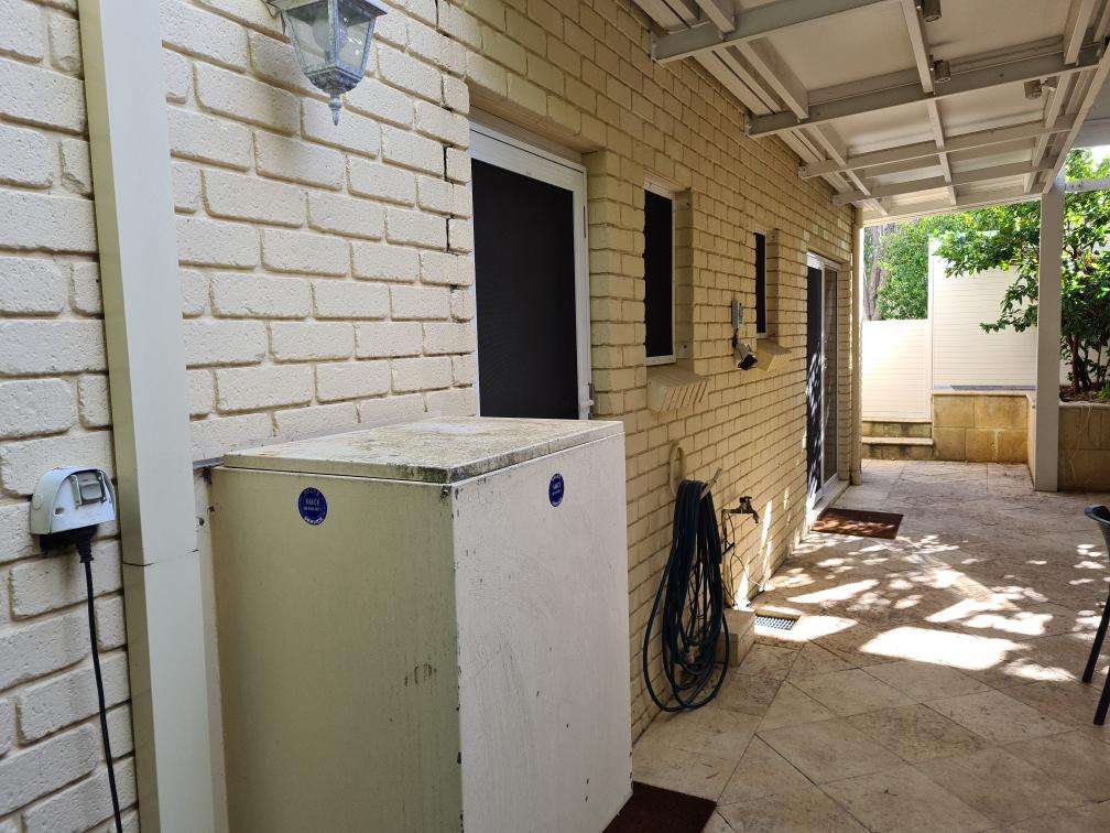 Moss and Moisture Damage on Exterior Walls (Historical) — real moisture defect photographed in a SURE Building Inspections report