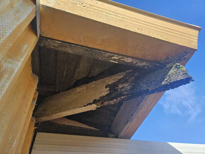 Eave Lining Timber Fungal Decay — real moisture defect photographed in a SURE Building Inspections report