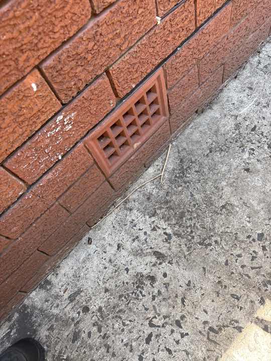 Undetermined Termite Shield Condition (Sub-Floor Inaccessible) — real termite defect photographed in a SURE Building Inspections report