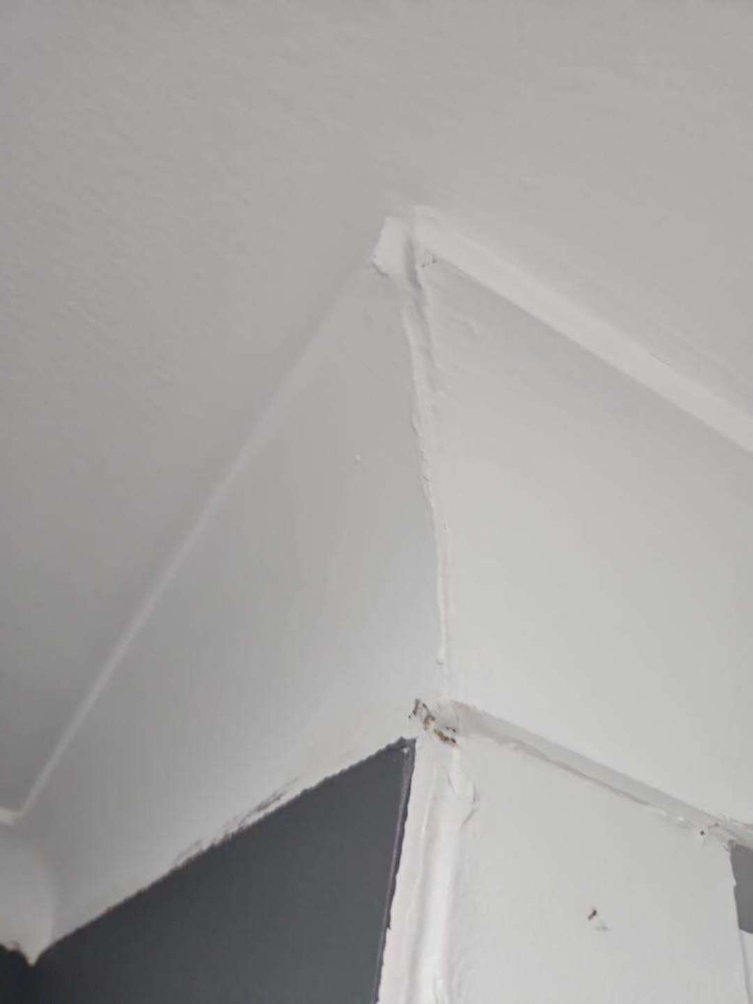 General Scuffs And Marks On Study Room Walls — real finishes defect photographed in a SURE Building Inspections report