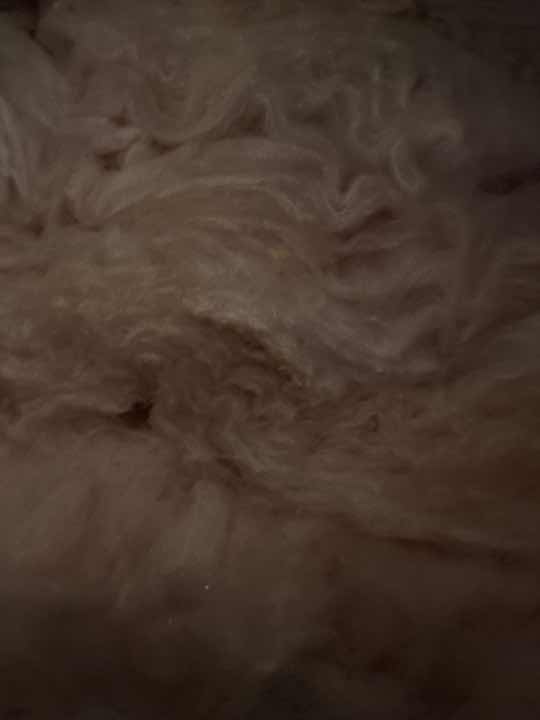 Roof Void Obstruction by Insulation — real termite defect photographed in a SURE Building Inspections report