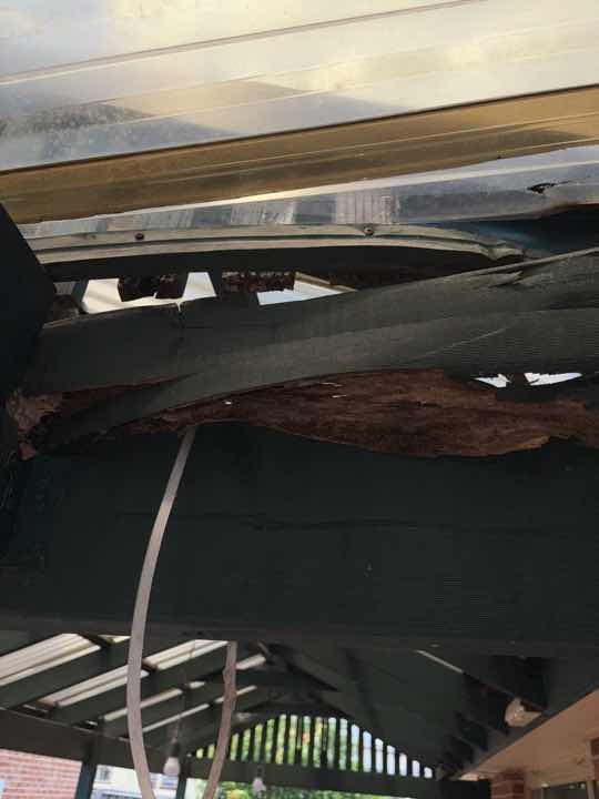 Absence of Termite Durable Notice — real termite defect photographed in a SURE Building Inspections report