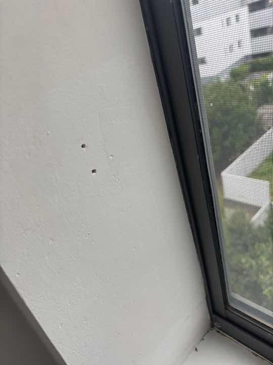 Sleepout Wall Linings Ageing/Denting — real finishes defect photographed in a SURE Building Inspections report