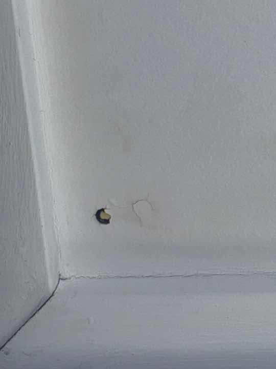 Missing Splash Back — real finishes defect photographed in a SURE Building Inspections report