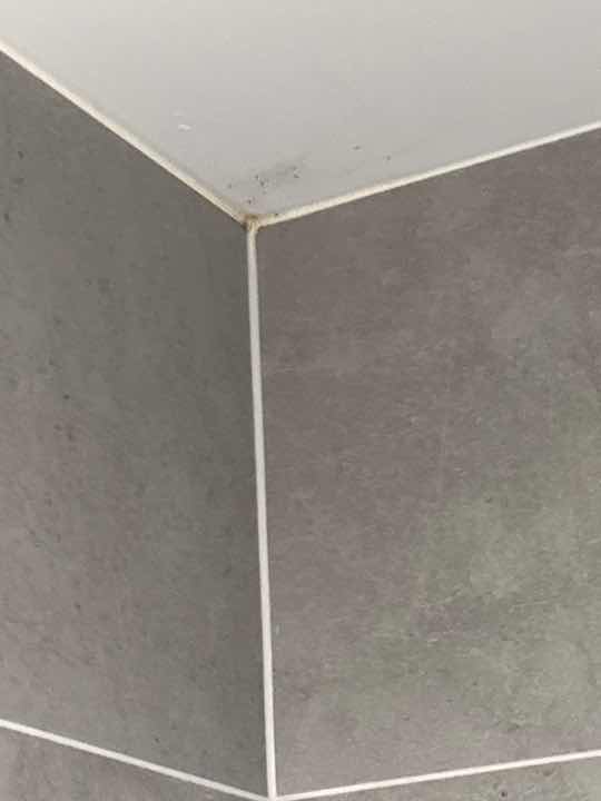 Leaking Shower Screen — real moisture defect photographed in a SURE Building Inspections report