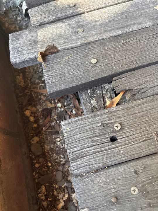 Fungi Decay (Rot) in Timber Sleepers — real termite defect photographed in a SURE Building Inspections report