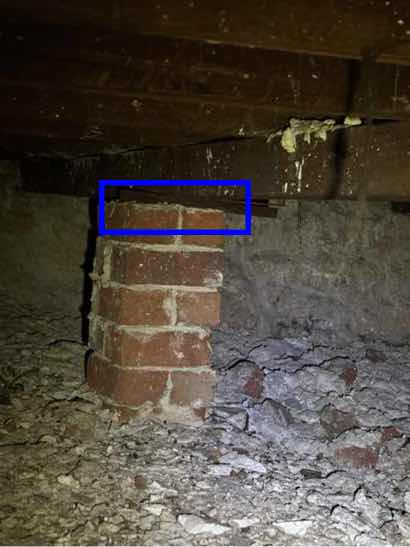 Absence of Termite Shields (Ant Caps) — real termite defect photographed in a SURE Building Inspections report