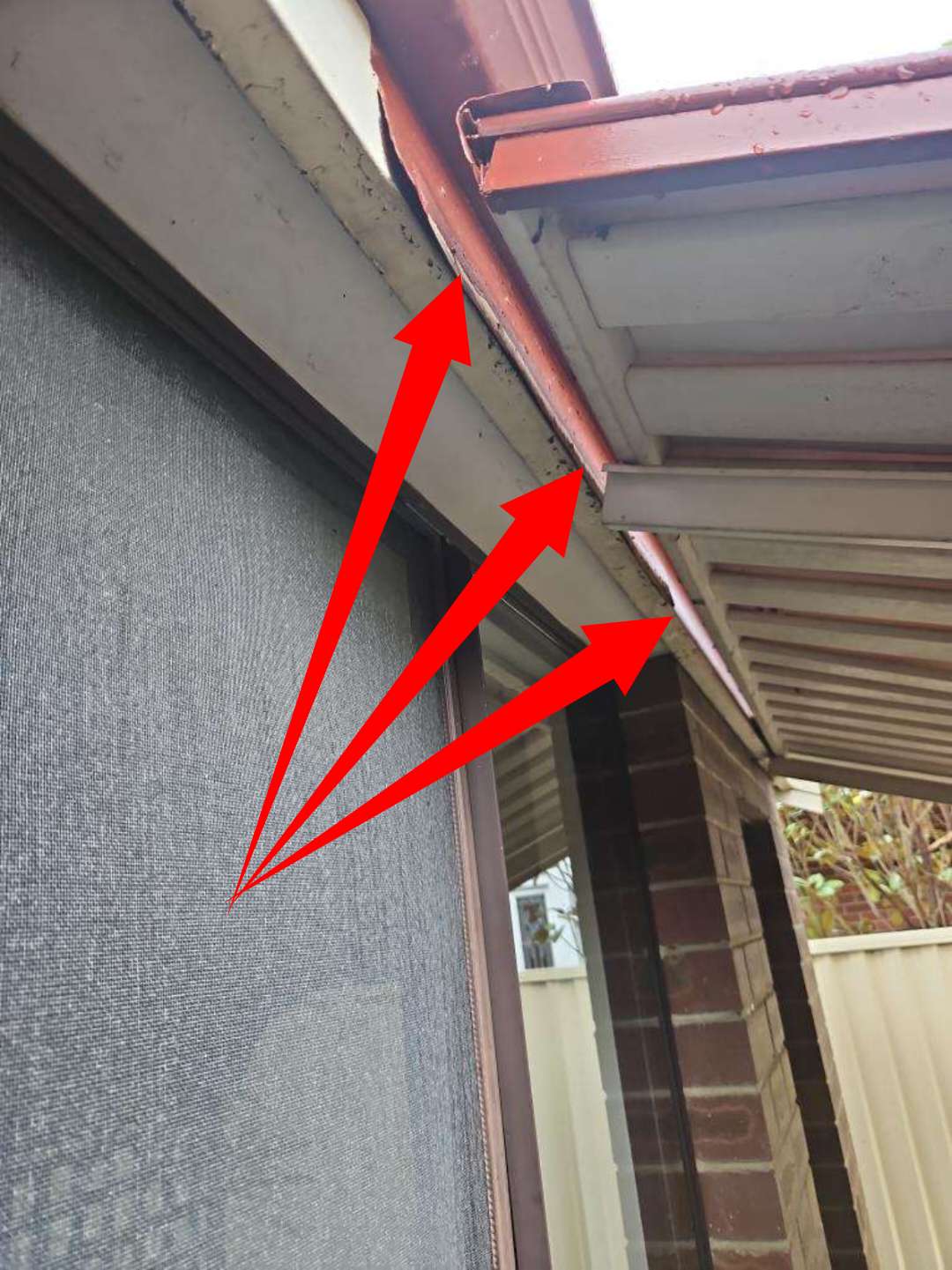 Detached Window Awning with Corrosion — real structural defect photographed in a SURE Building Inspections report