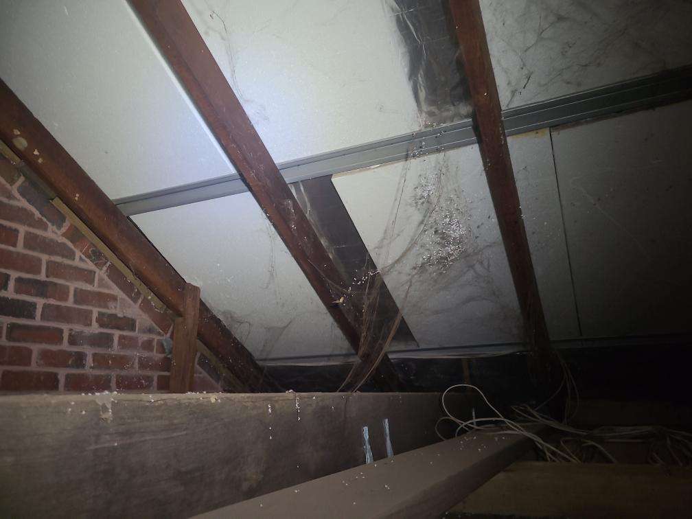 Restricted Roof Void Access due to Sarking — real structural defect photographed in a SURE Building Inspections report