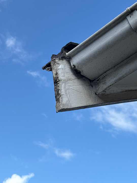 Fungi Decay in Barge Board — real termite defect photographed in a SURE Building Inspections report