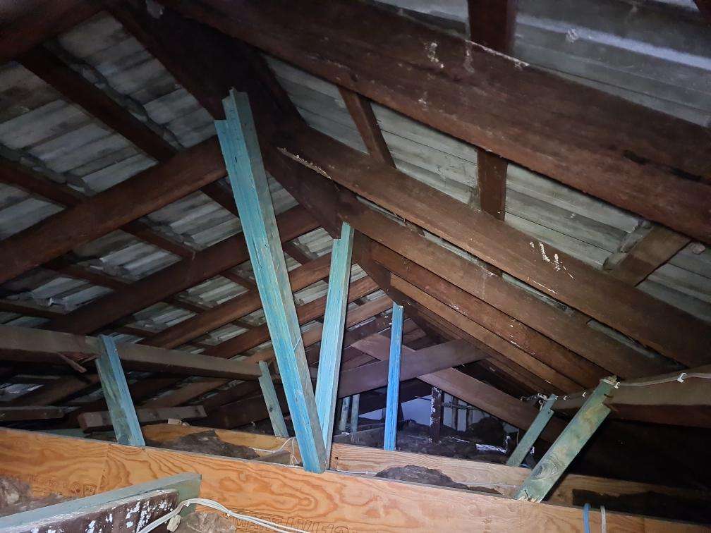 Aged Roof Framing Timbers — real structural defect photographed in a SURE Building Inspections report