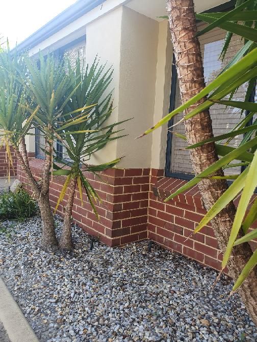 External Wall Cracking due to Settlement — real structural defect photographed in a SURE Building Inspections report