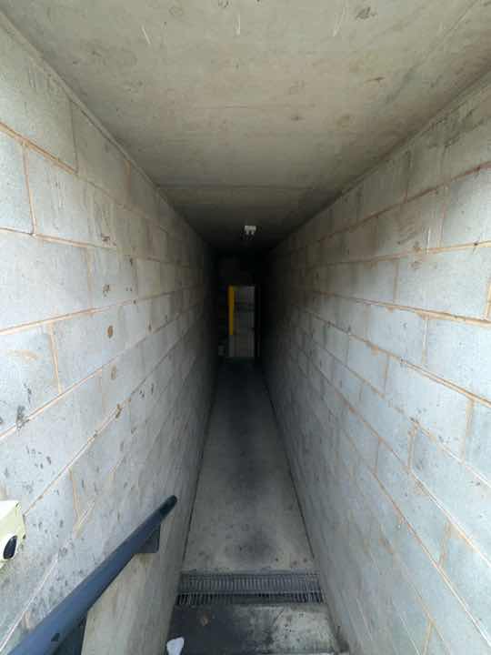 Excessive Wall Moisture — real moisture defect photographed in a SURE Building Inspections report