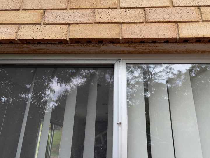 Lintel Rust Above External Window — real structural defect photographed in a SURE Building Inspections report