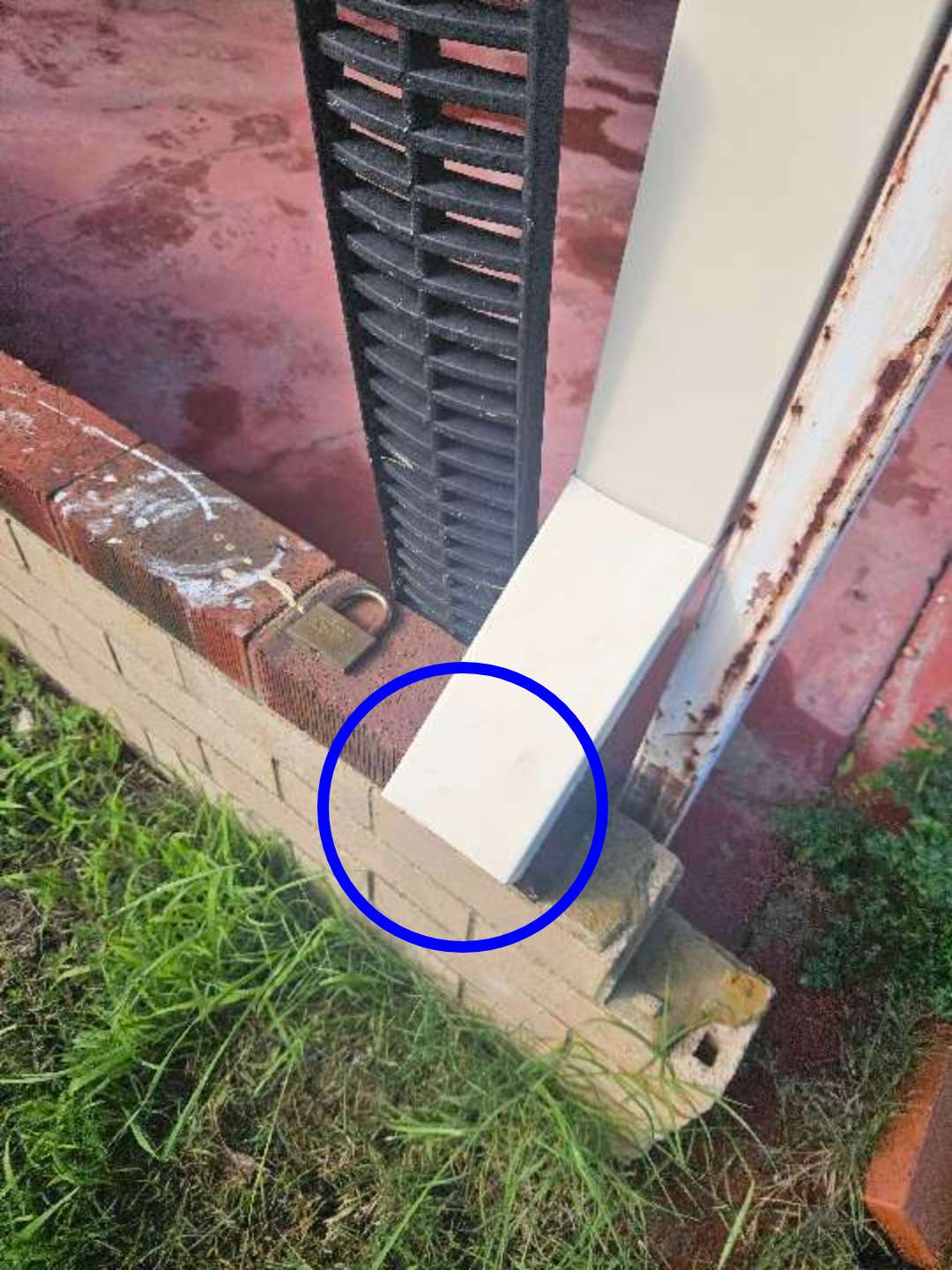 Tree Stumps on Site — real termite defect photographed in a SURE Building Inspections report