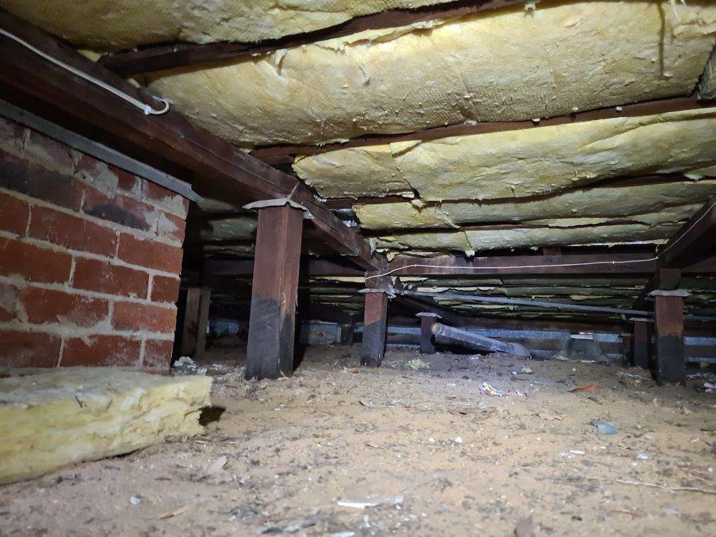 Obstructed Roof Space Timbers — real termite defect photographed in a SURE Building Inspections report