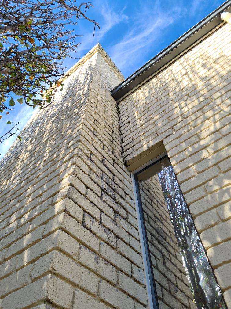 Moss and Moisture Damage on Exterior Walls (Historical) — real moisture defect photographed in a SURE Building Inspections report