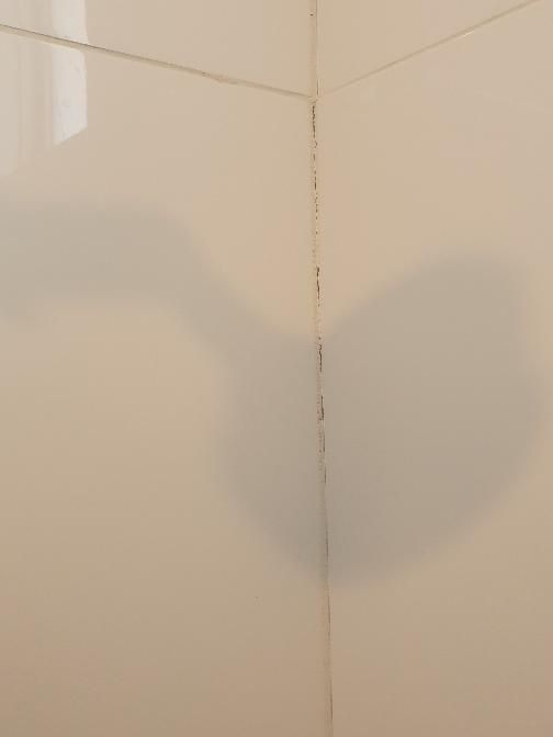 External Door Paint Deterioration — real finishes defect photographed in a SURE Building Inspections report