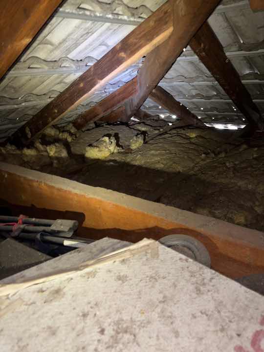Indication of Previous Flooding — real moisture defect photographed in a SURE Building Inspections report