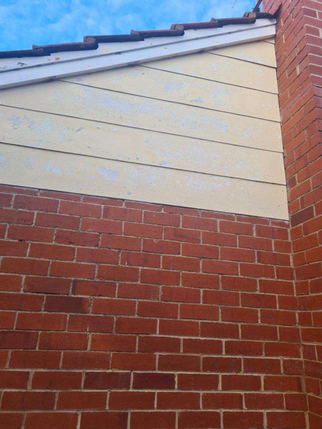 Overgrown Vegetation on External Brickwork — real compliance defect photographed in a SURE Building Inspections report