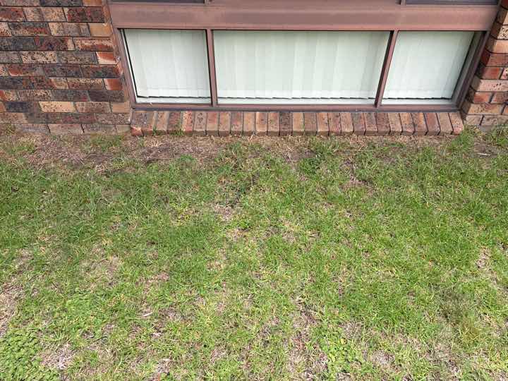 Timber Fungal Decay Around Home (Conducive Condition) — real termite defect photographed in a SURE Building Inspections report