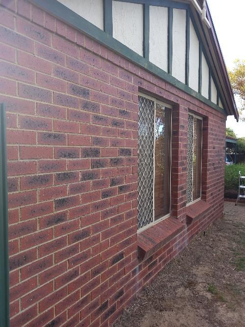 External Wall Cracking due to Settlement — real structural defect photographed in a SURE Building Inspections report