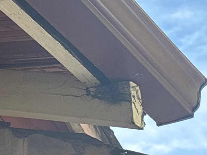 Fungi Decay (Rot) in Timber Sleepers — real termite defect photographed in a SURE Building Inspections report