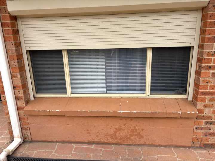 Absence of Termite Management Plan Notice — real termite defect photographed in a SURE Building Inspections report