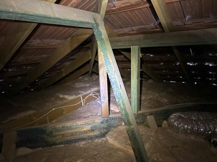Obstructed Roof Space Timbers — real termite defect photographed in a SURE Building Inspections report