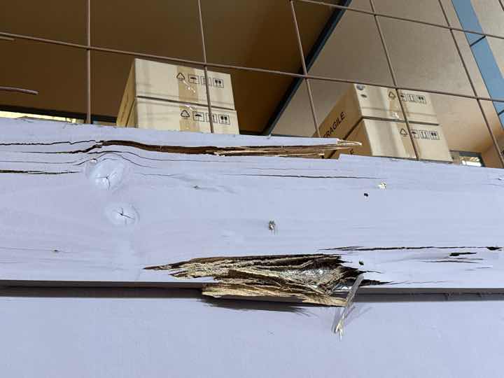 Warehouse Area Termite Damage to Skirting/Wall — real termite defect photographed in a SURE Building Inspections report