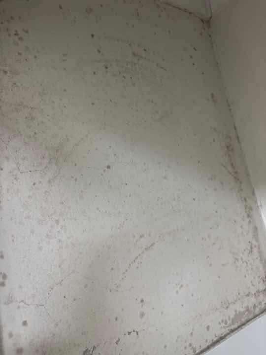 Moisture Damage to Internal Stair Case Wall/Skirting — real moisture defect photographed in a SURE Building Inspections report