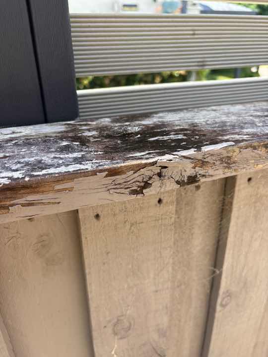 No Visible Evidence of Previous Termite Treatment — real termite defect photographed in a SURE Building Inspections report