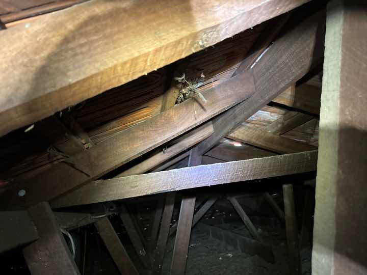 Detaching Ceiling Strapping — real structural defect photographed in a SURE Building Inspections report