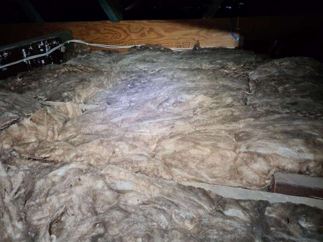 Restricted Roof Void Access (Insulation) — real compliance defect photographed in a SURE Building Inspections report