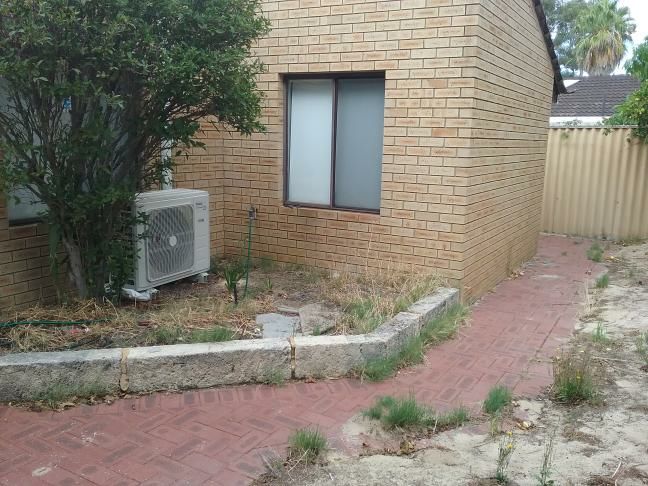 Damp on Exterior Wall from Gutter Leak — real moisture defect photographed in a SURE Building Inspections report