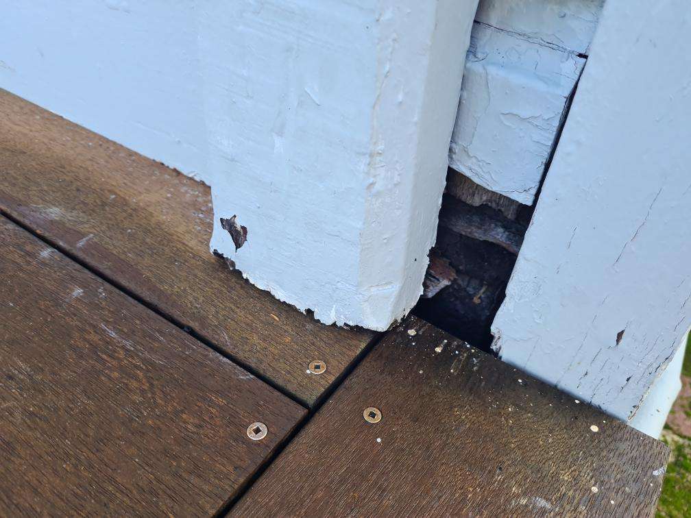 Post Timber Fungal Decay — real finishes defect photographed in a SURE Building Inspections report