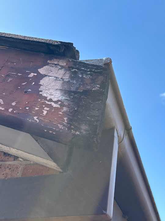 Fungi Decay in Barge Board — real termite defect photographed in a SURE Building Inspections report