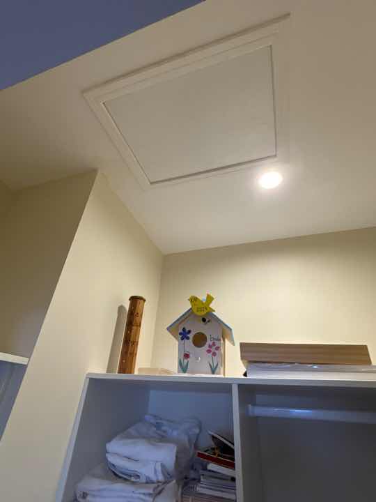 Obstructed Roof Void due to Insulation — real structural defect photographed in a SURE Building Inspections report